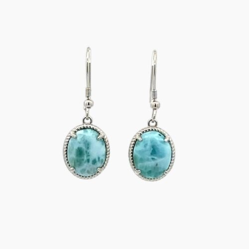 Larimar 10X12mm Oval Hook Earrings